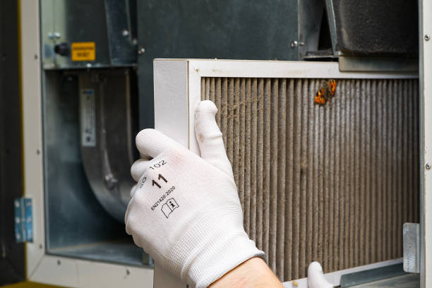Best Air Duct Sanitizing Services  in Fruitland, MD