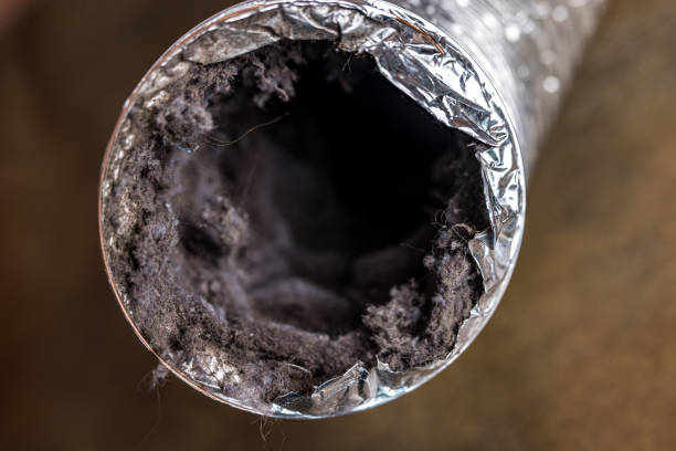 Best Ventilation Cleaning Services  in Fruitland, MD