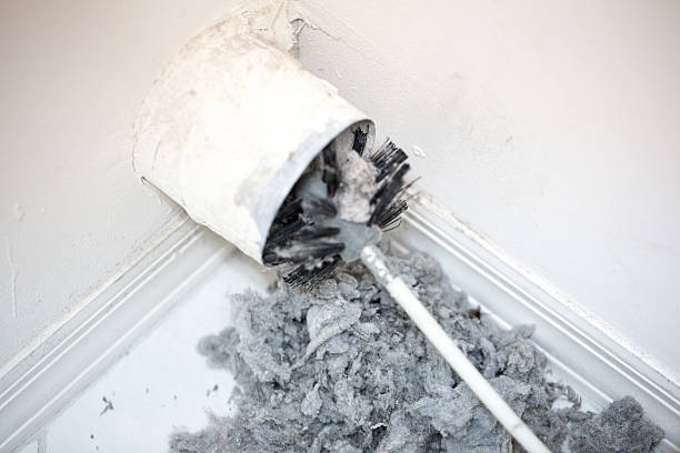 Best Best Air Duct Cleaning Company  in Fruitland, MD